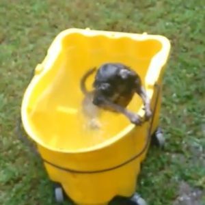 Meet your Posher, Arturo